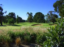 Cobram barooga golf club