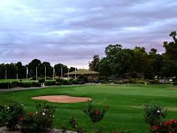 Tocumwal golf club